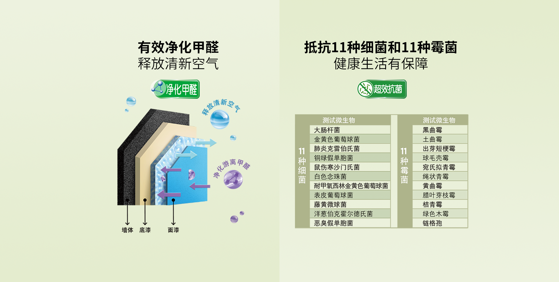 首页| 尊龙Z6(中国集团)官方网站